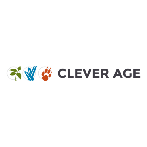 Clever-Age - Consultant CRM
